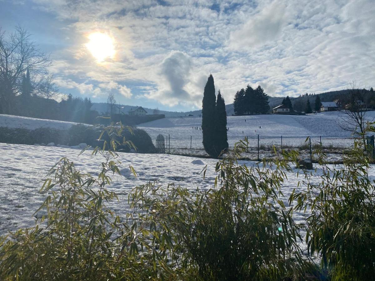 Gite Au Cours D'Eau Le Hohwald Zewnętrze zdjęcie