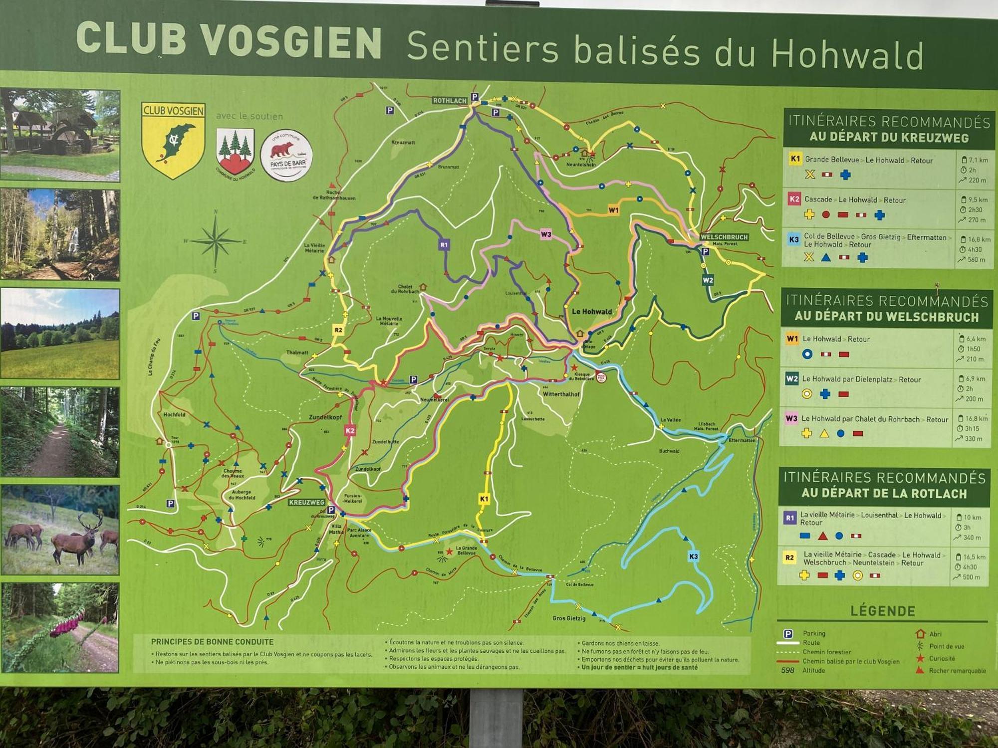 Gite Au Cours D'Eau Le Hohwald Zewnętrze zdjęcie